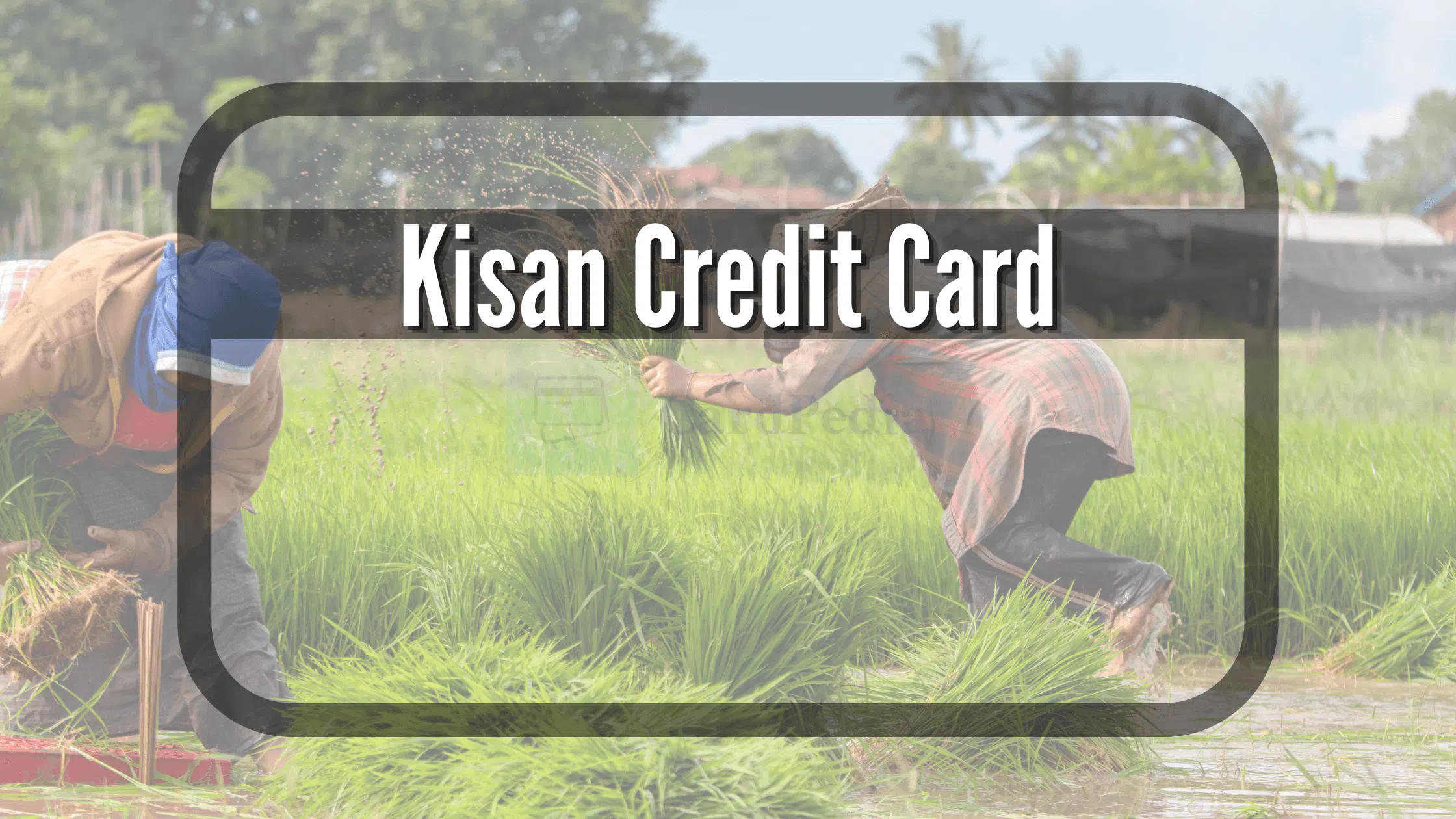 Kisan Credit Card